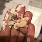 Yoni detox pearls