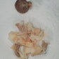 Yoni detox pearls